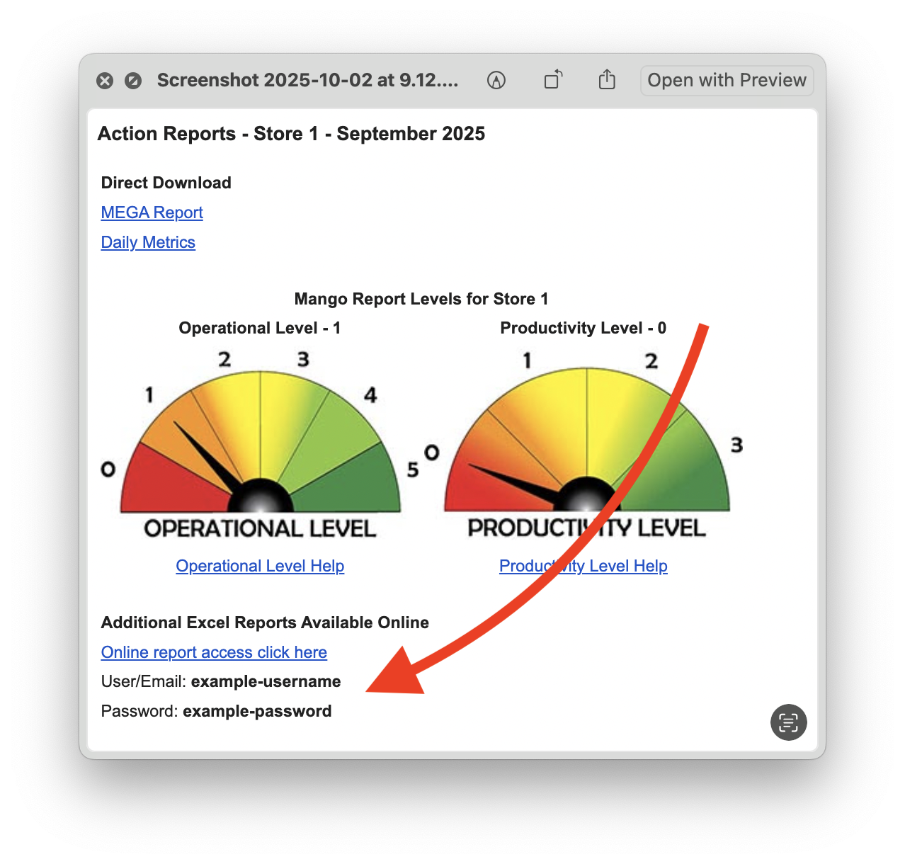 MangoReport email showing FTP credentials
